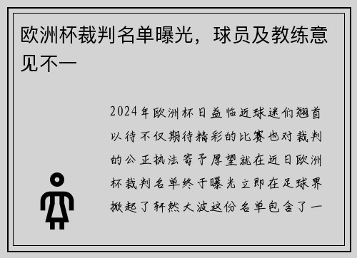 欧洲杯裁判名单曝光，球员及教练意见不一